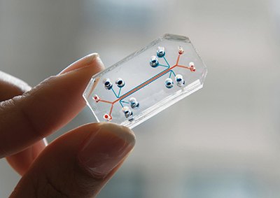Organs-on-Chips 